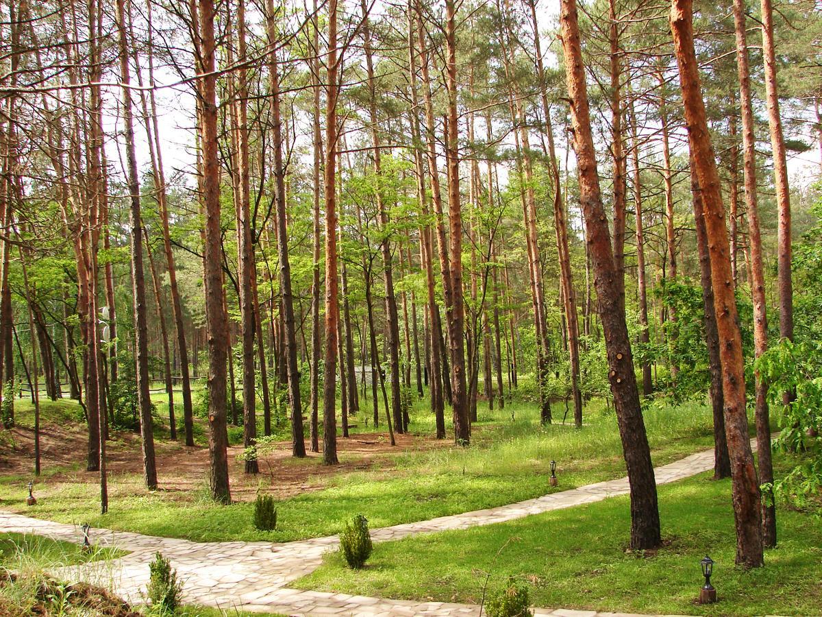 Pershyi Kordon Tourist Complex 호텔 Medvedevka 외부 사진